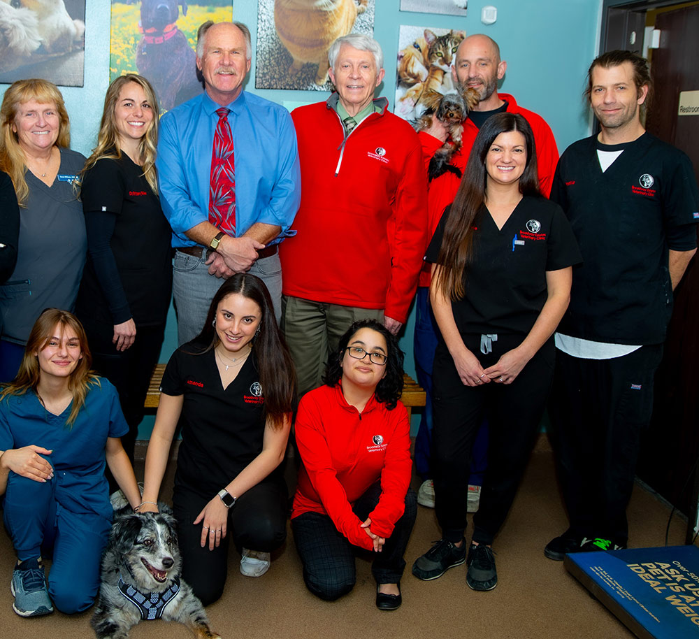 Team-Photo-for-Homepage-Banner-1000px-1 smiling veterinary team at Broadway Estates Veterinary Clinic