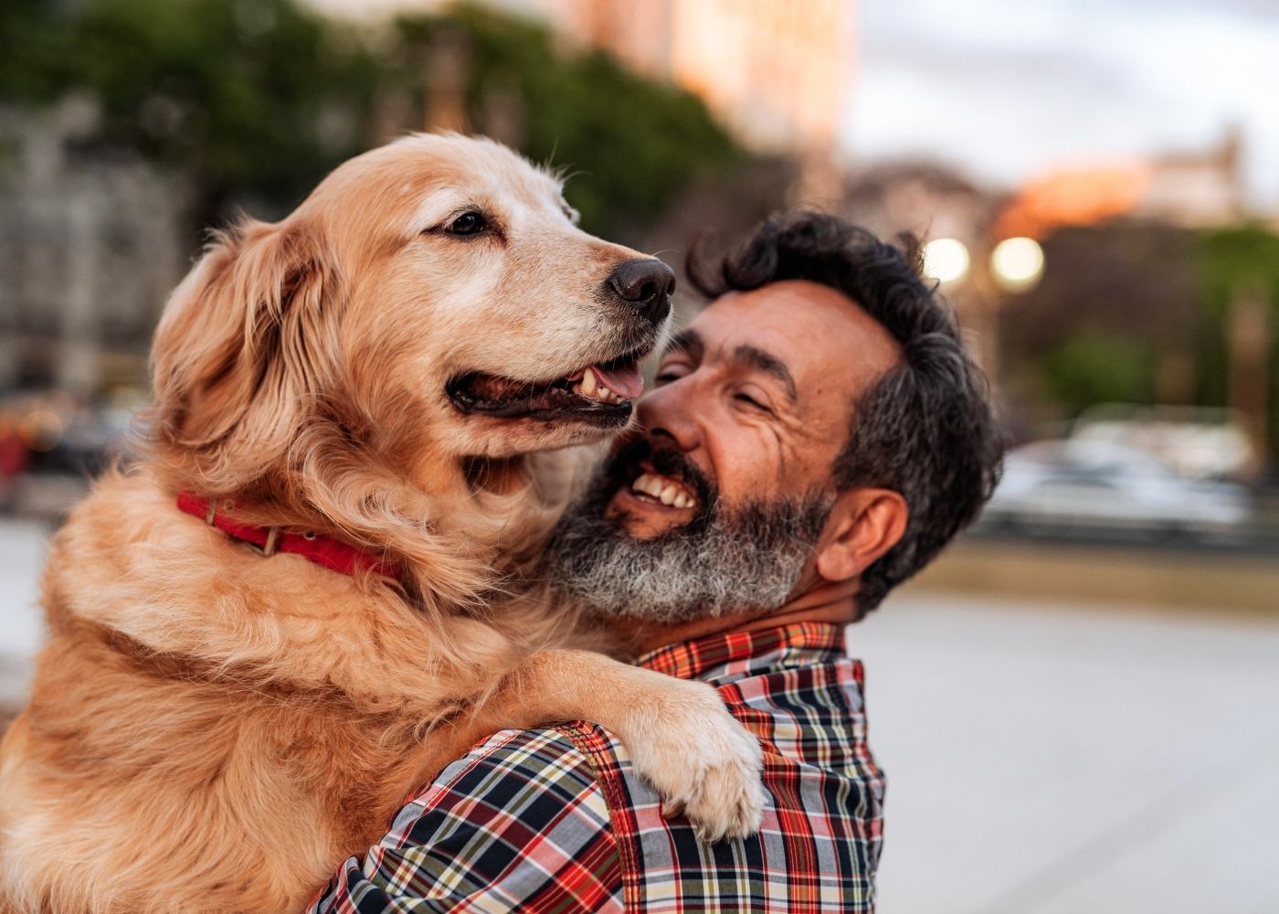 veterinary-team-examining-dog-1000x667-1 golden retriever being held by his smiling owner in a downtown setting