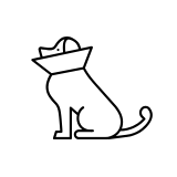 pet surgery icon