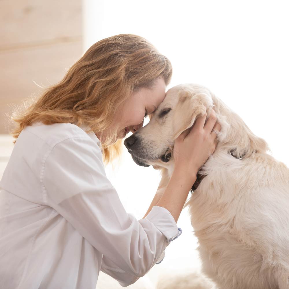 A woman gently pets a dog
