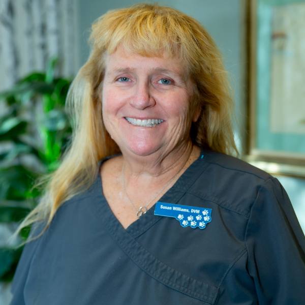 Dr Susan Williams